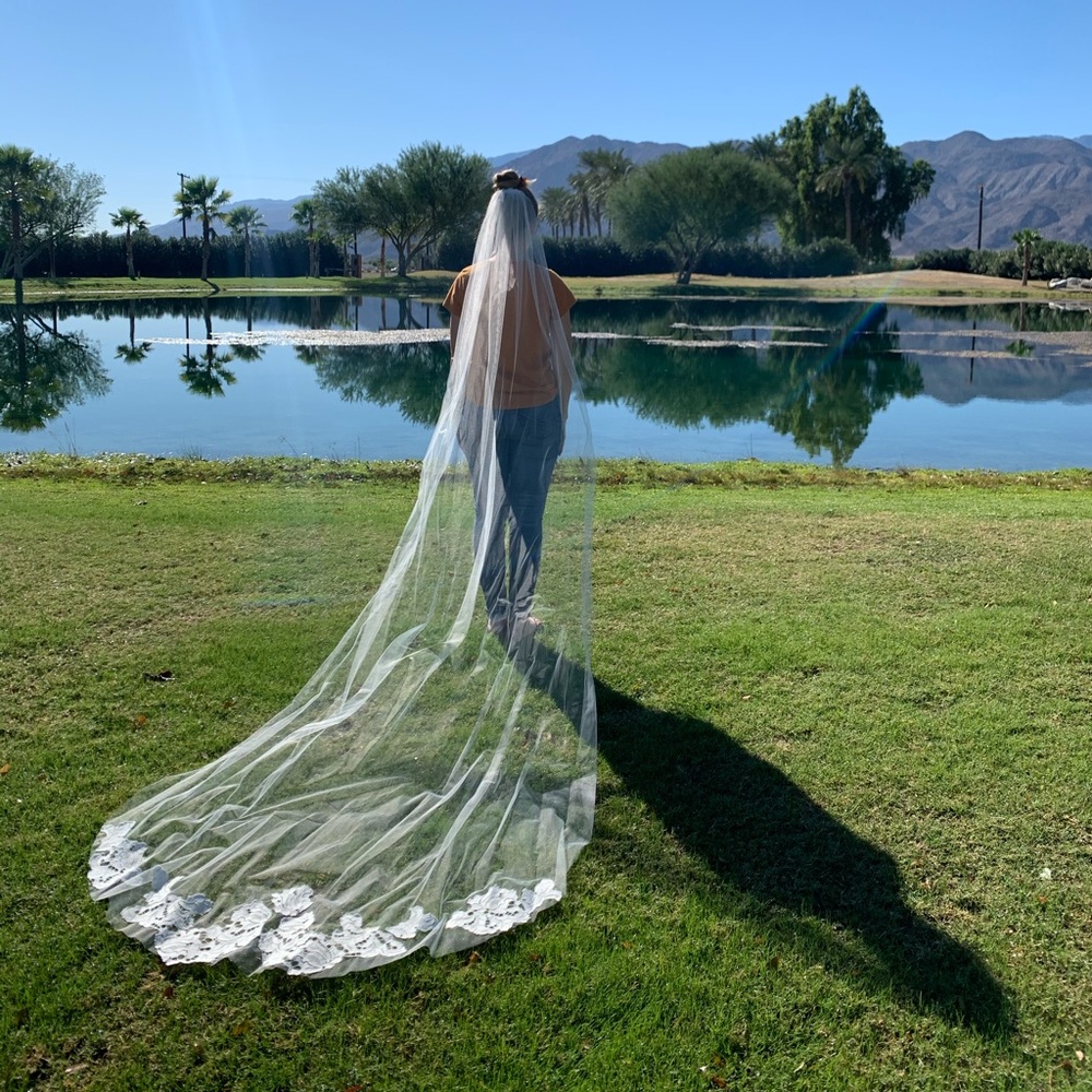 Hayley Paige veil